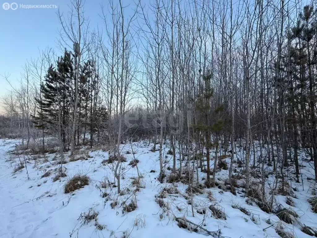 Участок в Нижнетавдинский район, СТ Здоровье-3 (8 м) - Фото 1