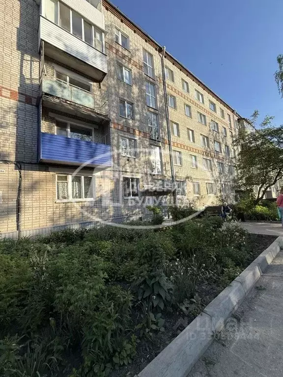 3-к кв. Пермский край, Кунгур ул. Мамонтова, 14 (50.8 м) - Фото 0