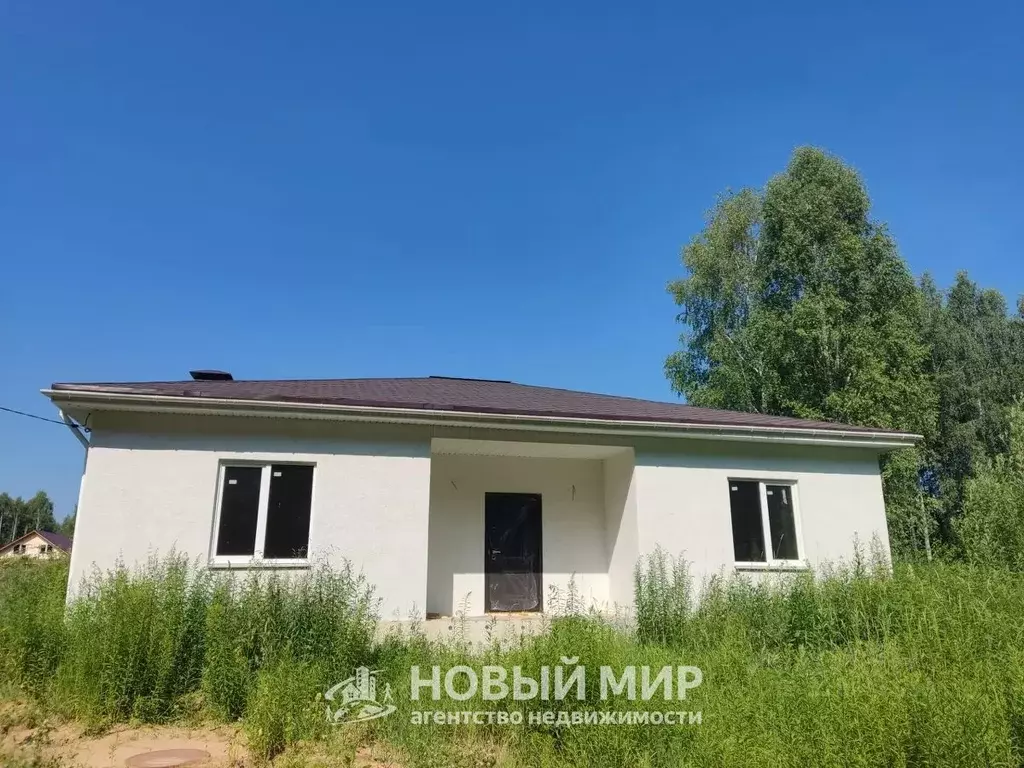 Дом в Нижегородская область, Бор  (100 м) - Фото 1