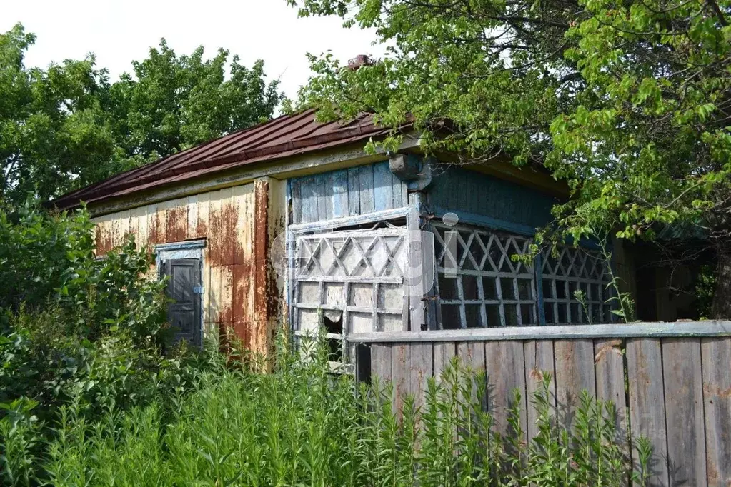 Дом в Белгородская область, Валуйский муниципальный округ, с. Тимоново ... - Фото 0