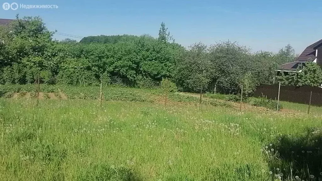 Участок в Ленинский городской округ, посёлок городского типа Молоково ... - Фото 1