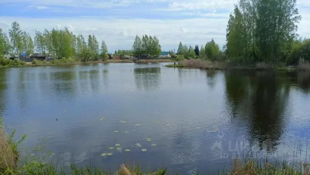 Участок в Ярославская область, Некрасовский муниципальный округ, д. ... - Фото 1