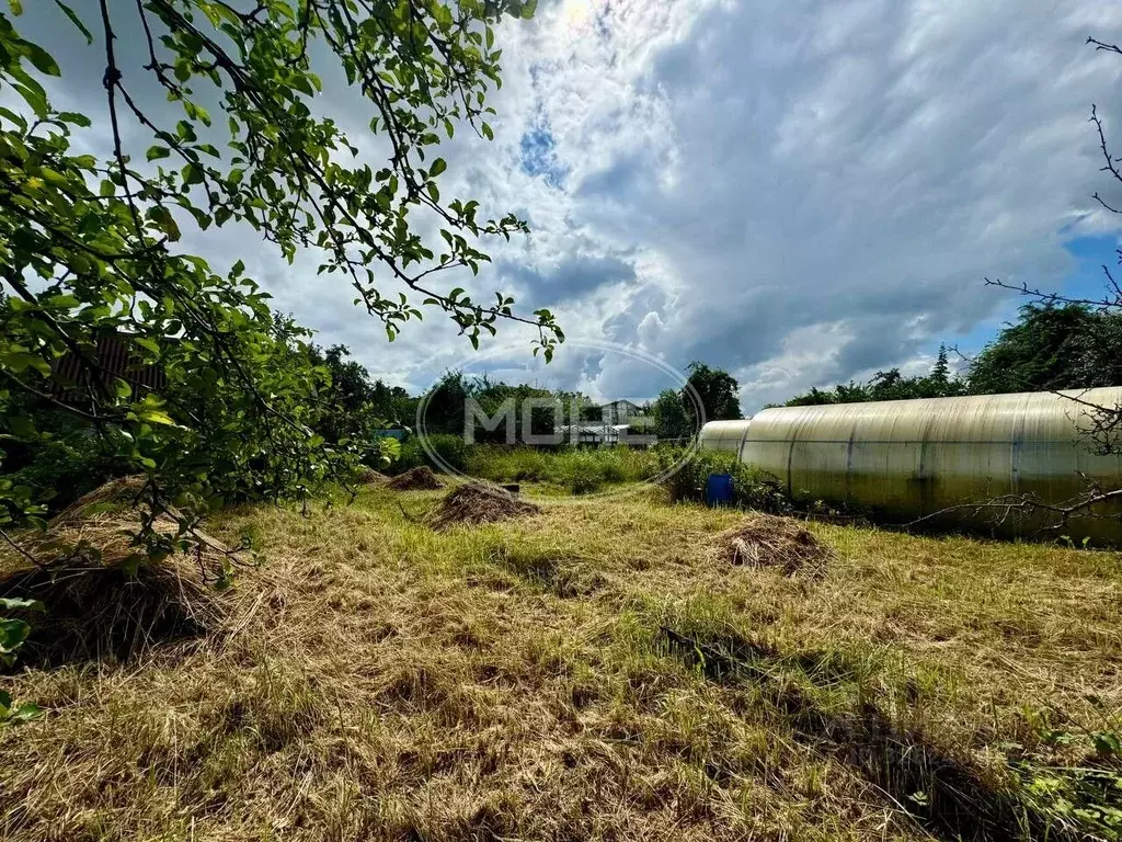 Участок в Калининградская область, Калининград Победа садовое ... - Фото 1