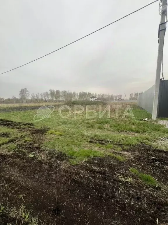 Участок в Тюменская область, Тюменский муниципальный округ, ... - Фото 1