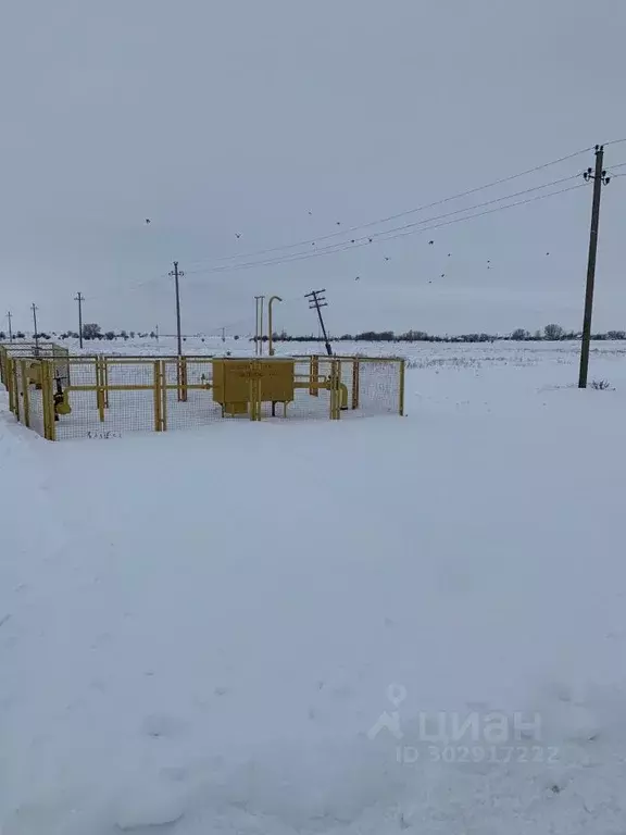 Участок в Волгоградская область, Городищенский район, Паньшинское ... - Фото 2