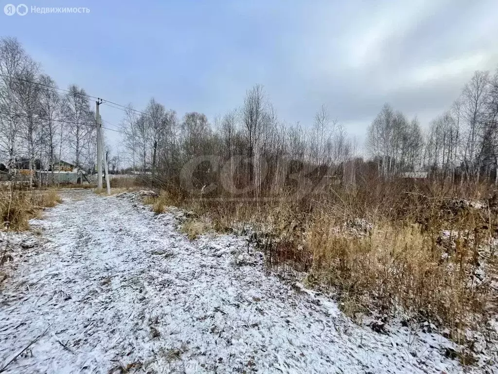 Участок в Тюменская область, Нижнетавдинский муниципальный округ, СНТ ... - Фото 0