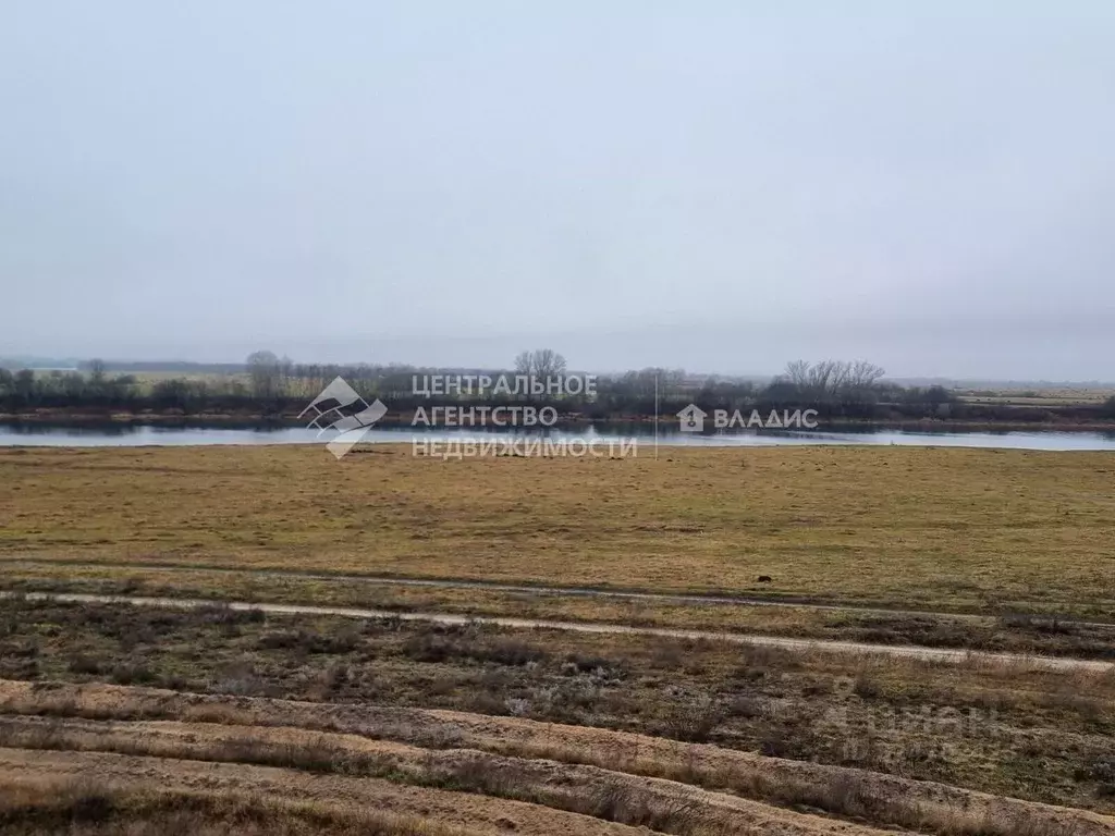 Участок в Рязанская область, Рязанский муниципальный округ, с. Казарь  ... - Фото 2