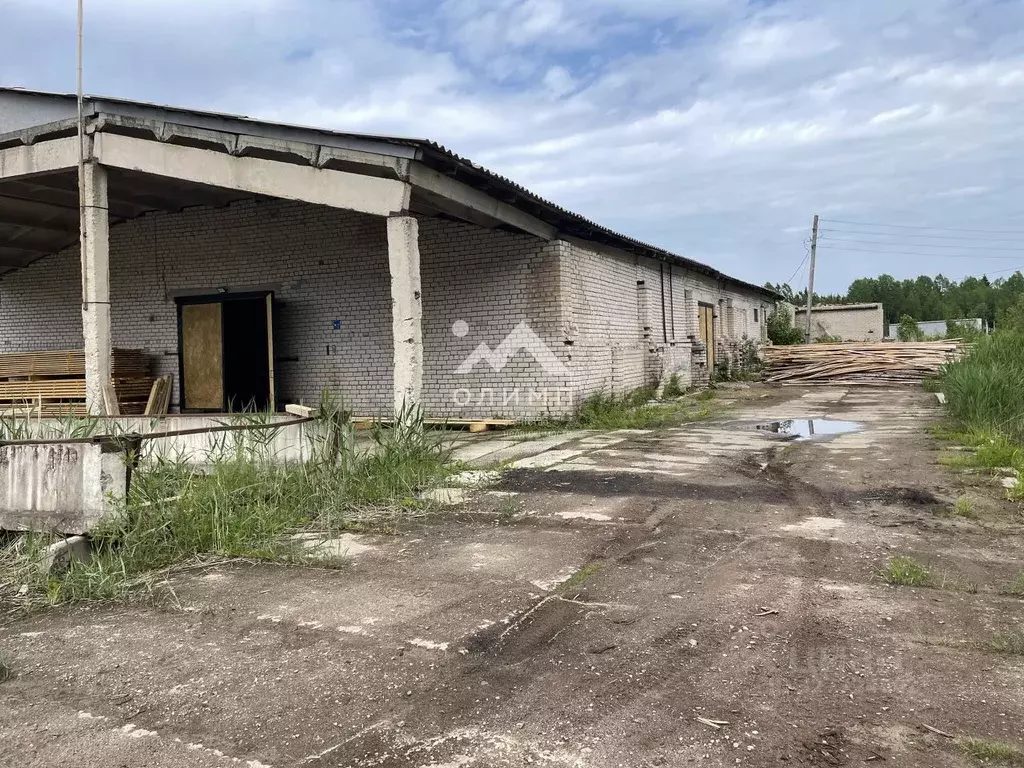 Производственное помещение в Вологодская область, Вытегорский ... - Фото 2