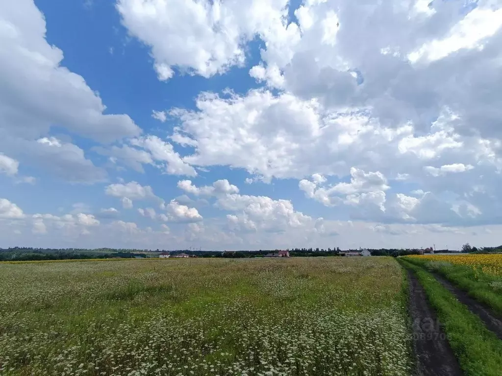 Участок в Белгородская область, Белгородский район, Дубовское с/пос, ... - Фото 1