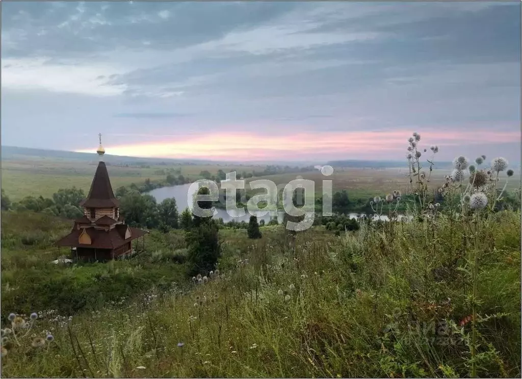 Участок в Калужская область, Перемышльский район, Гремячево с/пос, с. ... - Фото 0