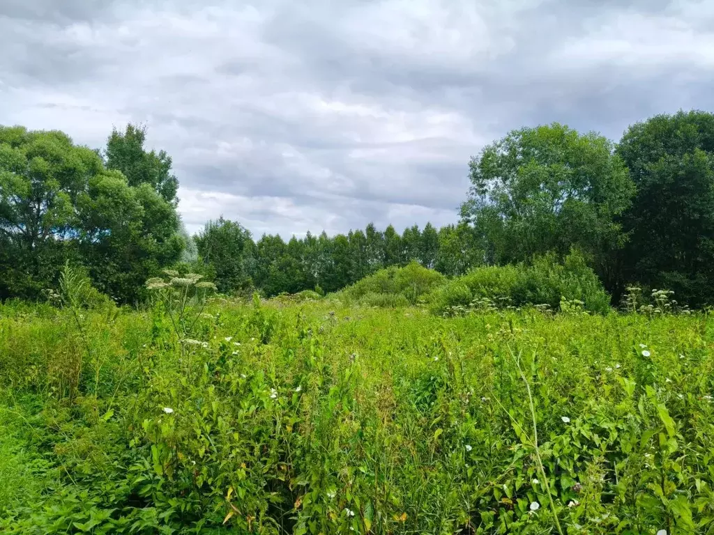 Участок в Московская область, Талдомский городской округ, д. ... - Фото 1