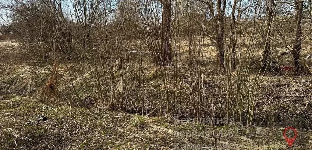 Участок в Московская область, Красногорск городской округ, д. Козино  ... - Фото 1