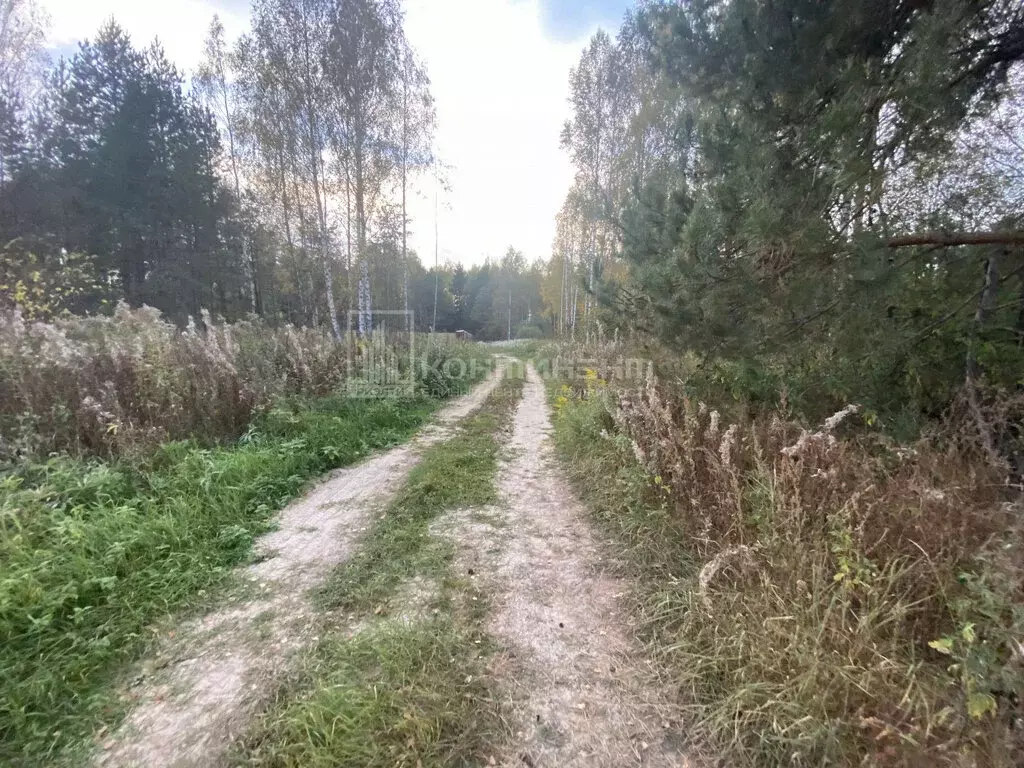 Участок в муниципальное образование Новосельское, село Любец (16.5 м) - Фото 1