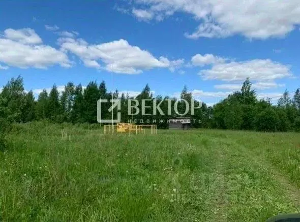 Участок в Ярославская область, Ярославский муниципальный округ, Соньга ... - Фото 2