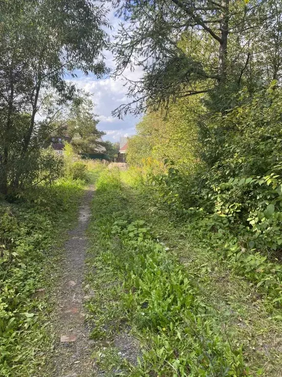 Участок в Санкт-Петербург пос. Александровская, 1-я линия, 43 (12.0 ... - Фото 1