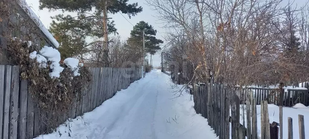 Участок в Курганская область, Курган Кургантяжстрой-4 СНТ,  (5.3 сот.) - Фото 2