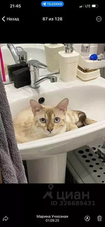 Студия Омская область, Омск ул. 2-я Учхозная, 4к2 (18.0 м) - Фото 2