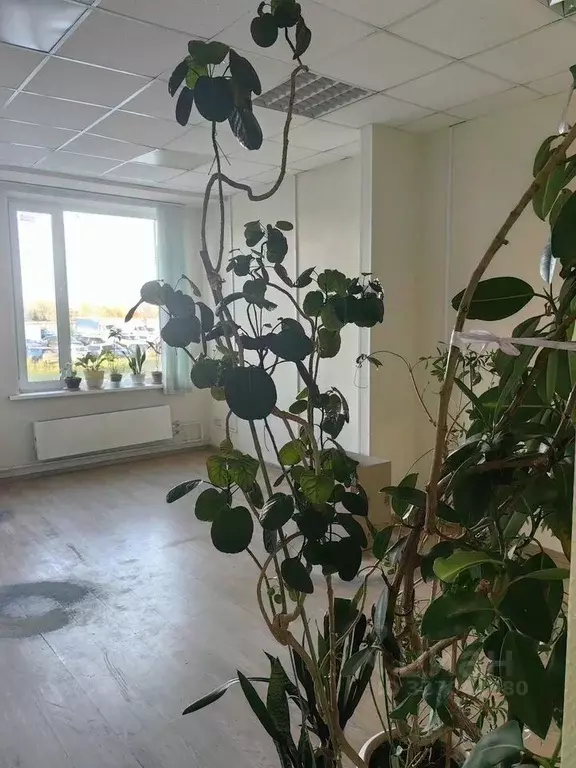 Офис в Москва ул. Бусиновская Горка, 2 (81 м) - Фото 1