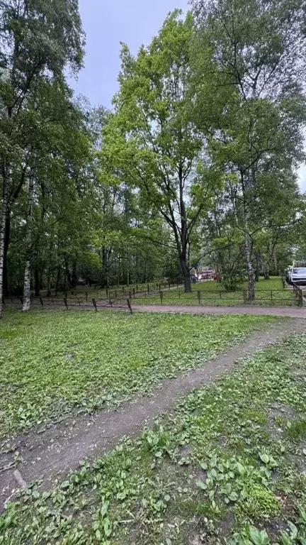 2-к кв. Санкт-Петербург просп. Народного ополчения, 131 (43.3 м) - Фото 2