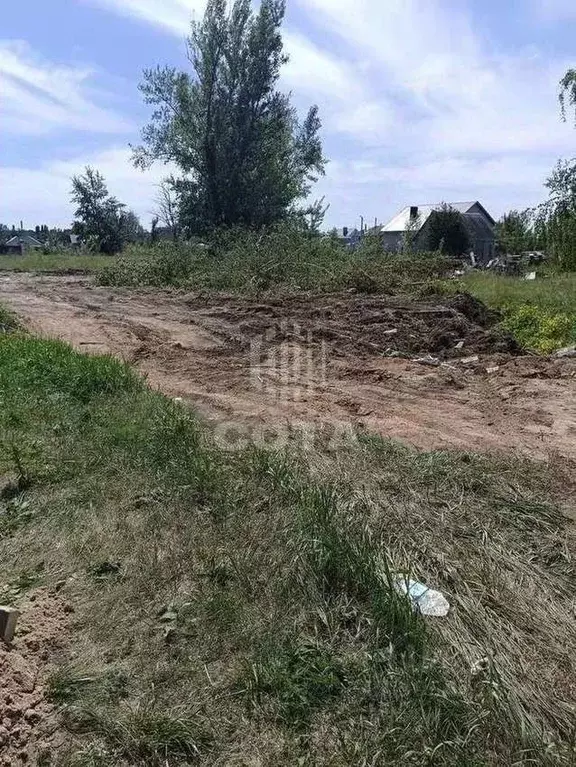 Участок в Воронежская область, Новоусманский район, Усманское 1-е ... - Фото 0