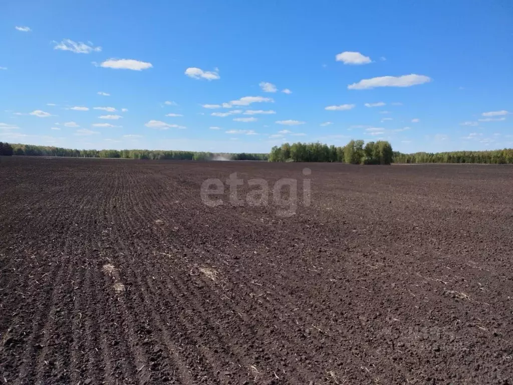Участок в Тюменская область, Тюменский муниципальный округ, Каменское ... - Фото 1