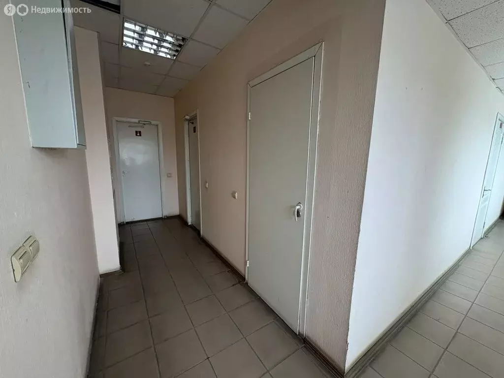 Офис (33.8 м) - Фото 2