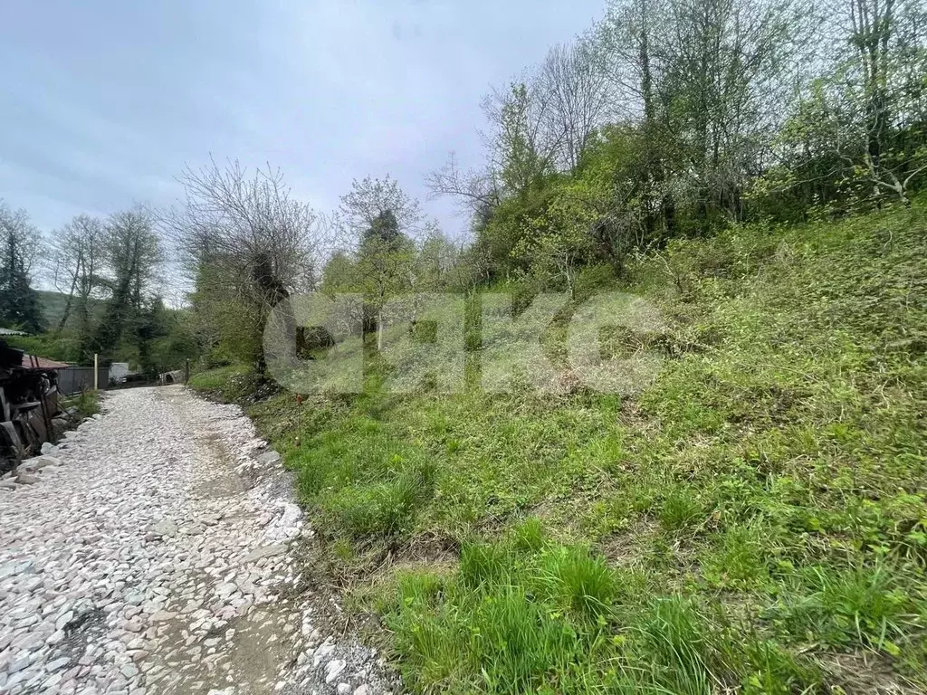 Участок в Краснодарский край, Сочи городской округ, с. Верховское ул. ... - Фото 1