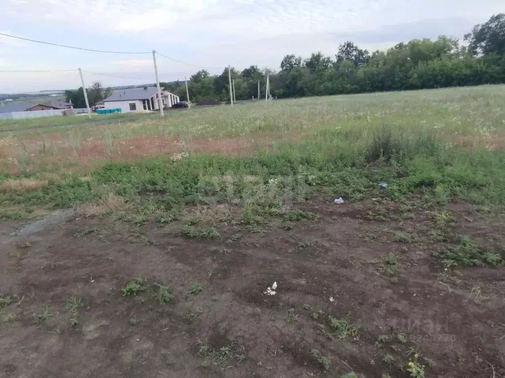 Участок в Белгородская область, Белгородский район, Пушкарское с/пос, ... - Фото 1