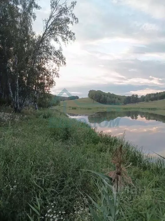 Участок в Новосибирская область, Ордынский район, пос. Петровский  ... - Фото 1