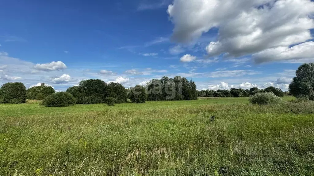 Участок в Калужская область, Бабынинский муниципальный округ, ... - Фото 0