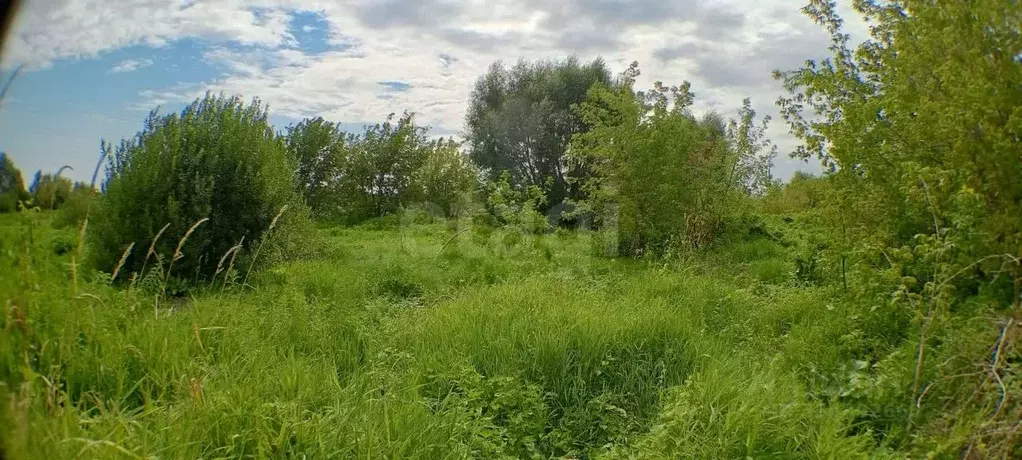 Участок в Нижегородская область, Нижний Новгород д. Кузьминка,  (12.6 ... - Фото 1