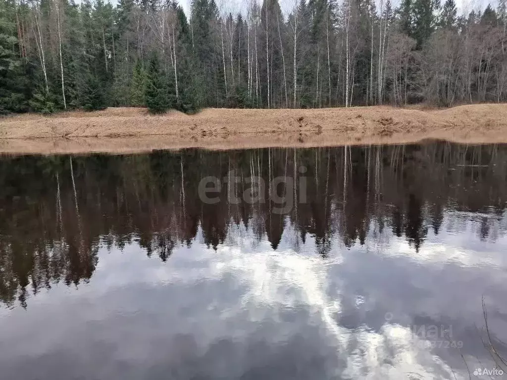 Участок в Тверская область, Кашинский муниципальный округ, д. Малые ... - Фото 1