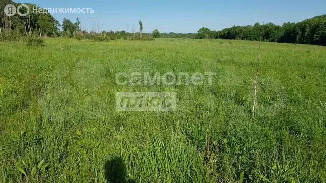 Участок в деревня Кичибухино, Колхозная улица (16.6 м) - Фото 0