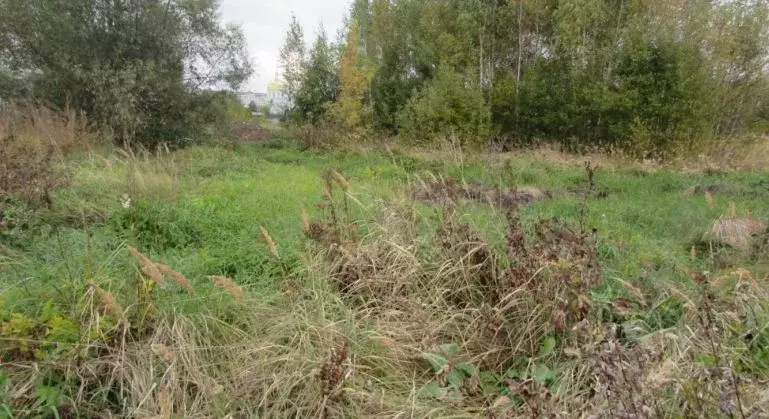 Участок в Московская область, Озеры Коломна городской округ,  (17.23 ... - Фото 1