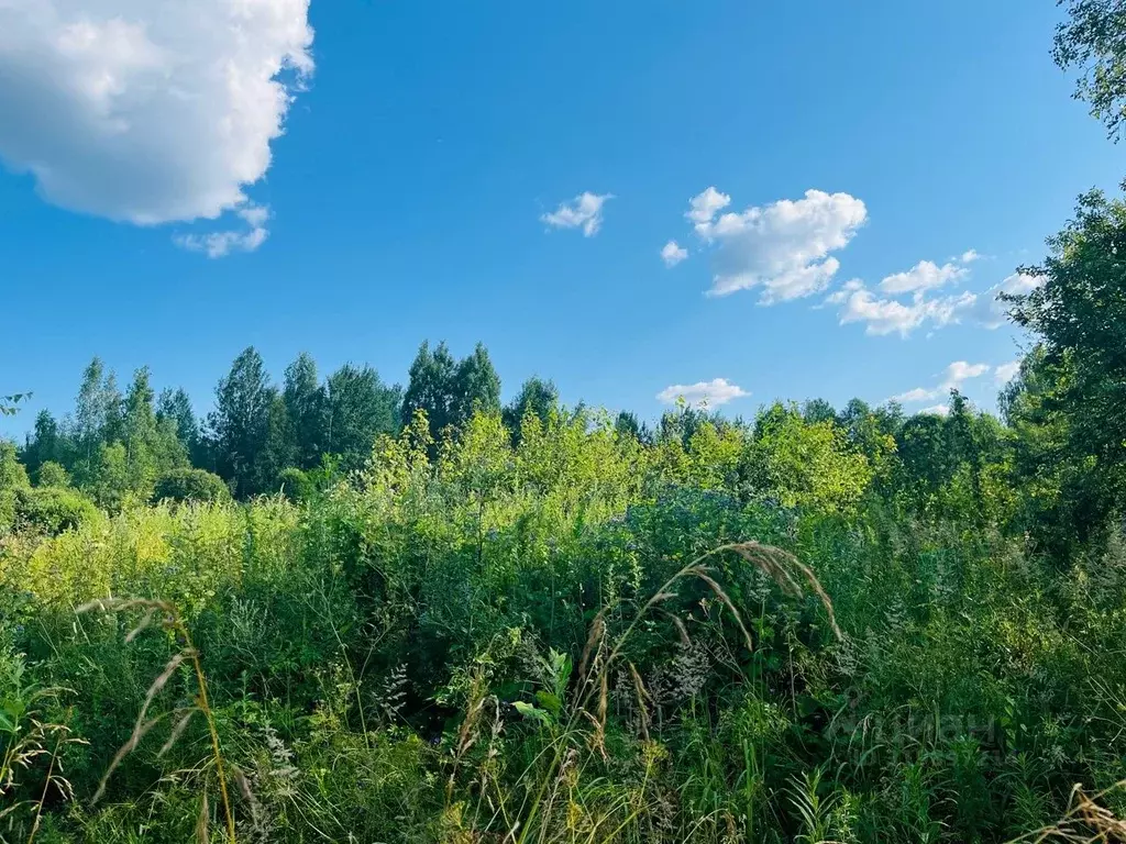 Участок в Новгородская область, Новгородский район, Пролетарское ... - Фото 2