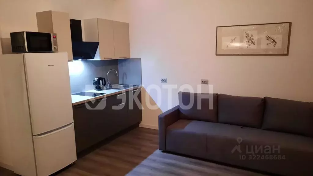 Студия Санкт-Петербург ул. Струве, 12к1 (26.0 м) - Фото 2