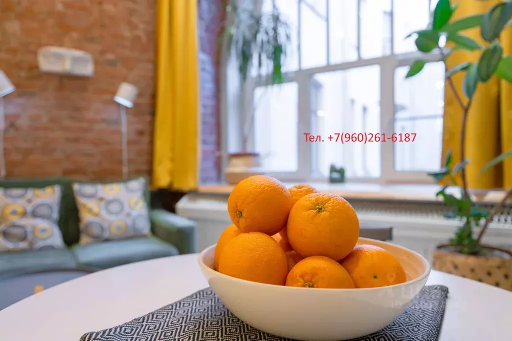 1-к кв. Санкт-Петербург Стремянная ул., 11 (24.0 м) - Фото 1
