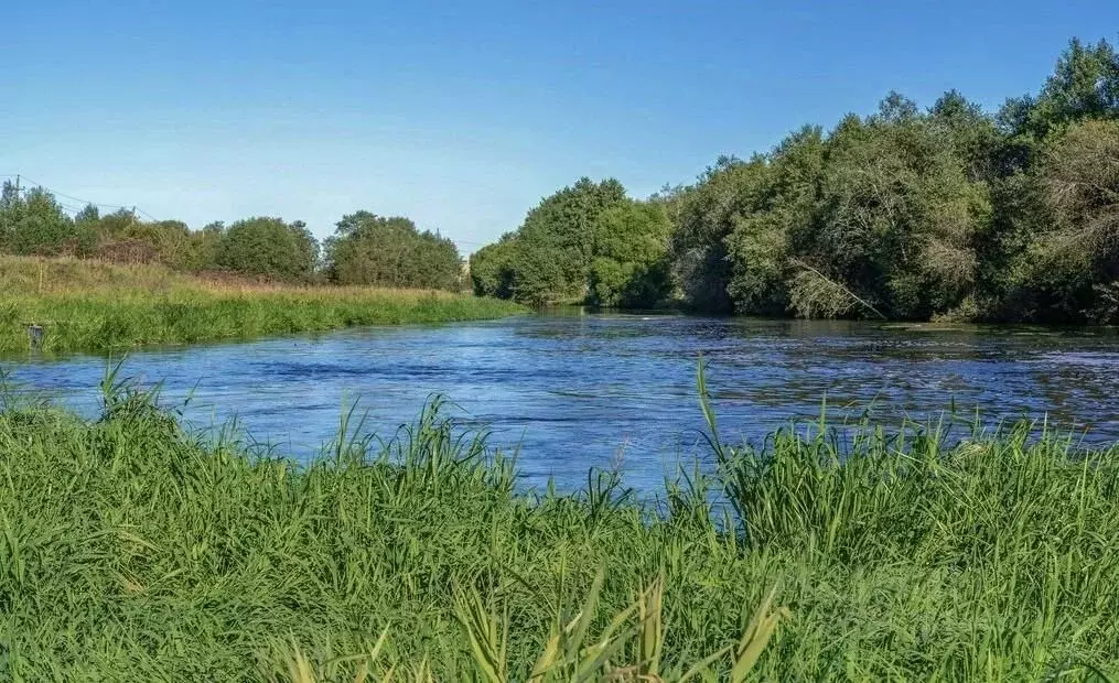 Участок в Тверская область, Конаковский муниципальный округ, д. ... - Фото 2