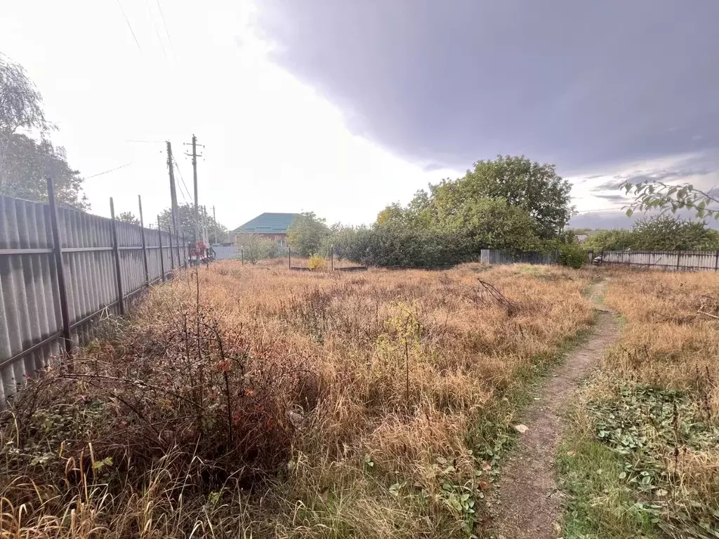 Участок в Ростовская область, Неклиновский район, с. Николаевка ул. ... - Фото 2