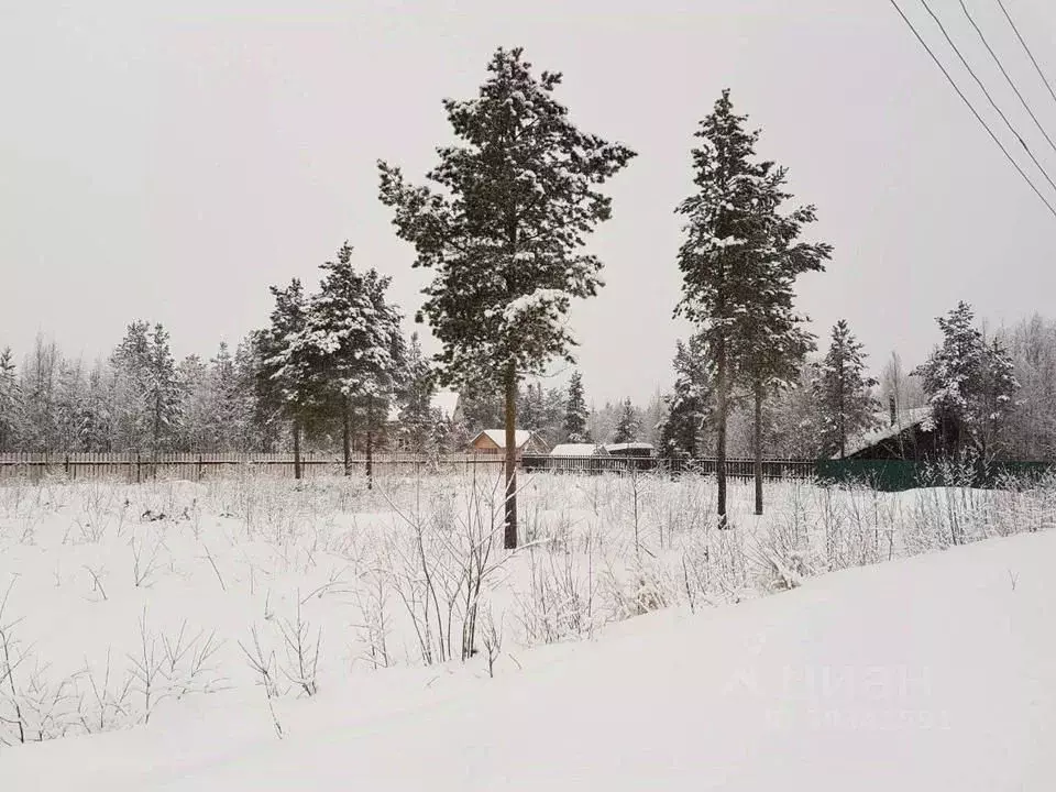 Участок в Вологодская область, Харовский муниципальный округ, д. ... - Фото 0