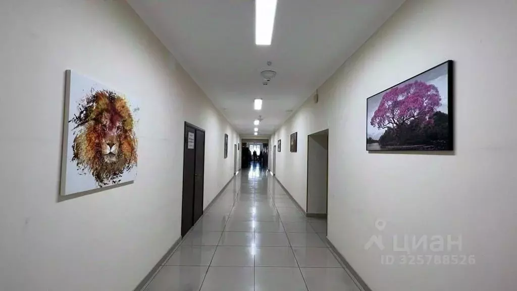 Офис в Краснодарский край, Сочи Пластунская ул., 47А (31 м) - Фото 1