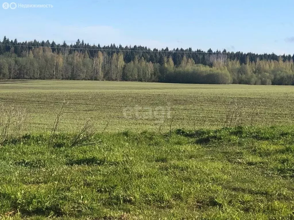 Участок в Вологодский муниципальный округ, посёлок Перьево (10 м) - Фото 1