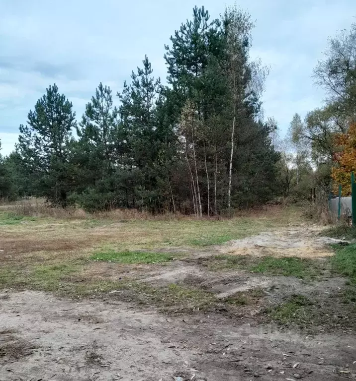 Участок в Московская область, Егорьевск муниципальный округ, д. ... - Фото 1