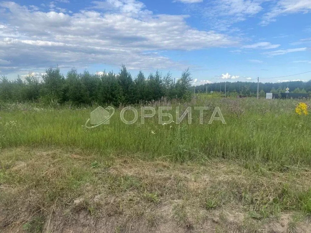 Участок в Тюменская область, Тюменский муниципальный округ, с. Кулига  ... - Фото 1