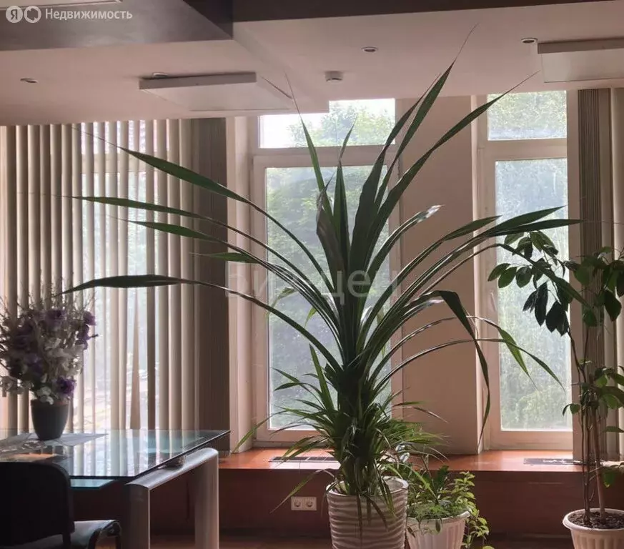 Офис (255.5 м) - Фото 1