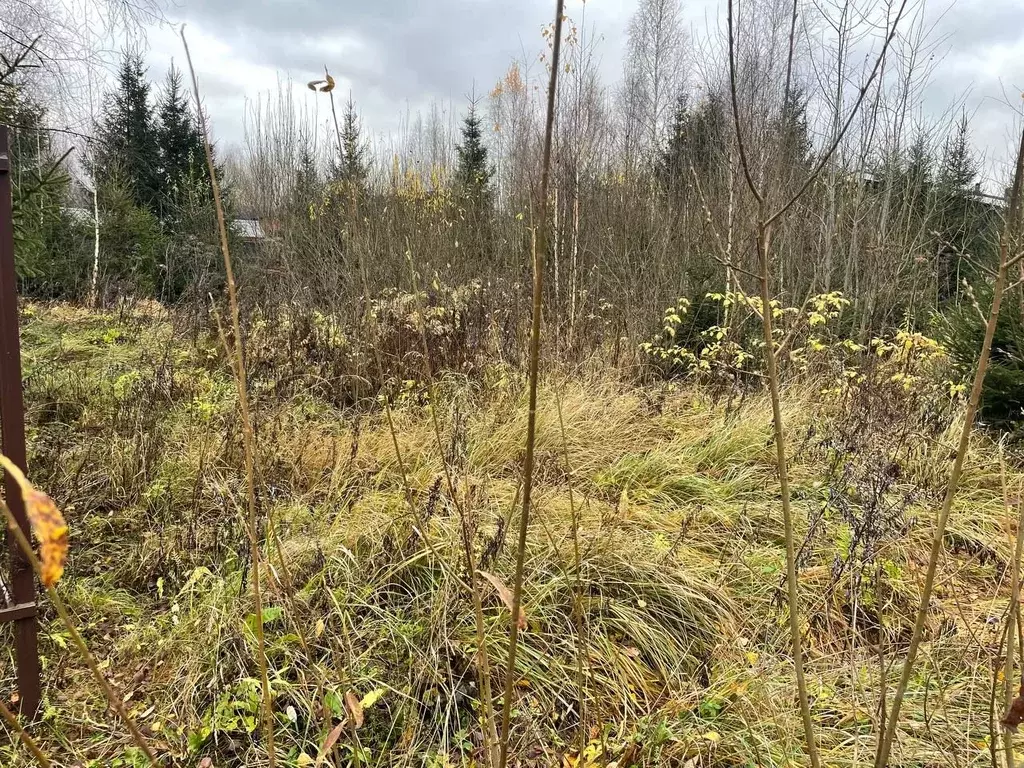 Участок в Москва № 182 кв-л, 89 (9.6 сот.) - Фото 2