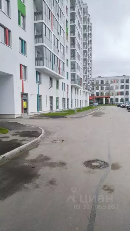 Помещение свободного назначения в Санкт-Петербург пос. Шушары, ул. ... - Фото 1
