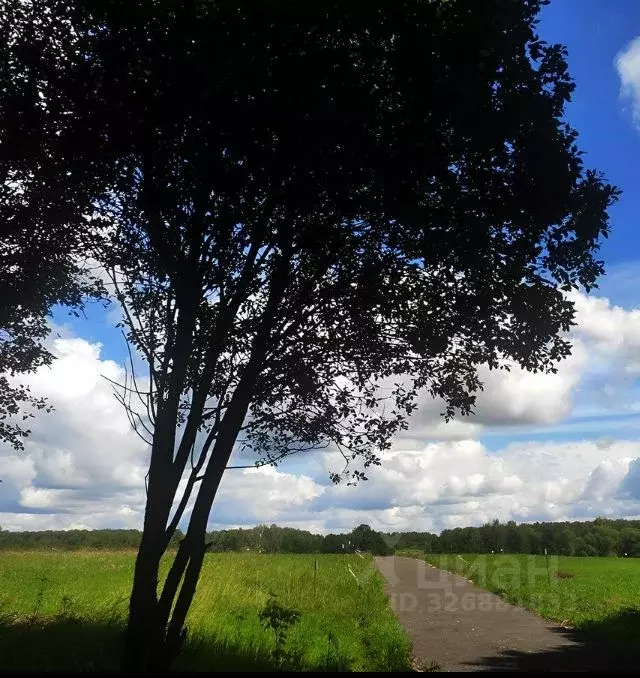 Участок в Московская область, Серпухов городской округ, д. Акулово  ... - Фото 2