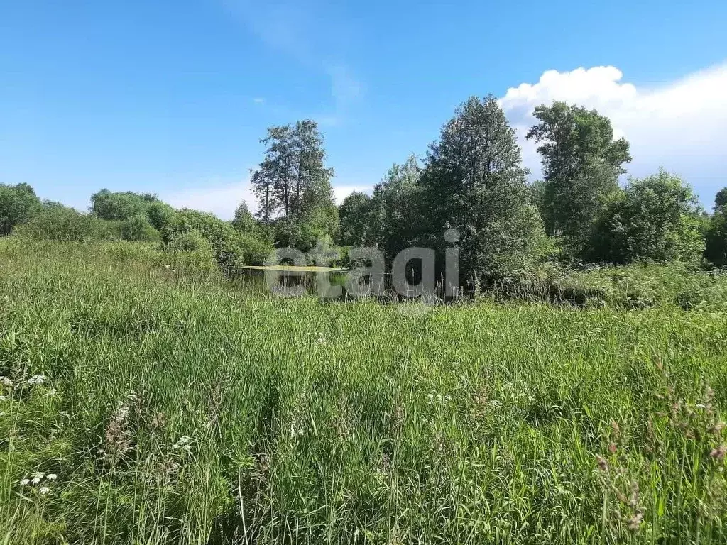 Участок в Костромская область, Костромской район, Никольское с/пос, ... - Фото 1