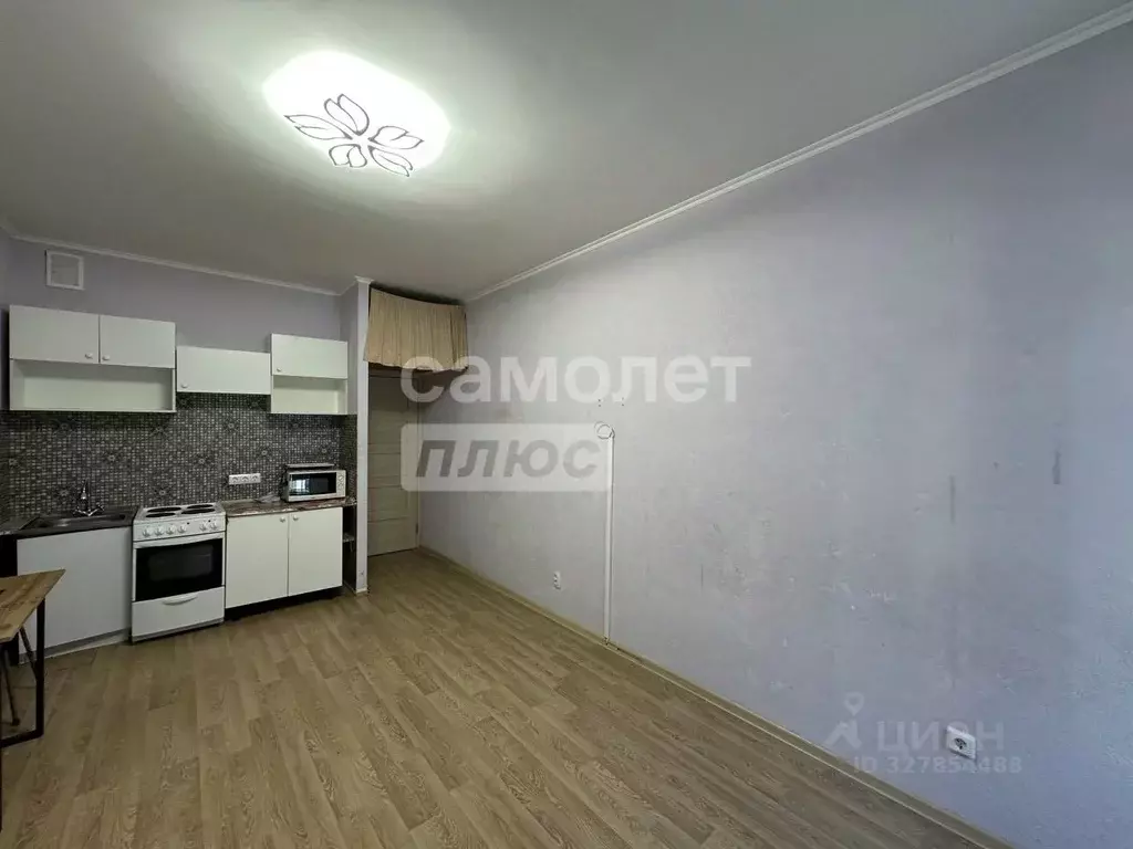 Студия Санкт-Петербург ул. Адмирала Черокова, 18к2 (24.0 м) - Фото 1